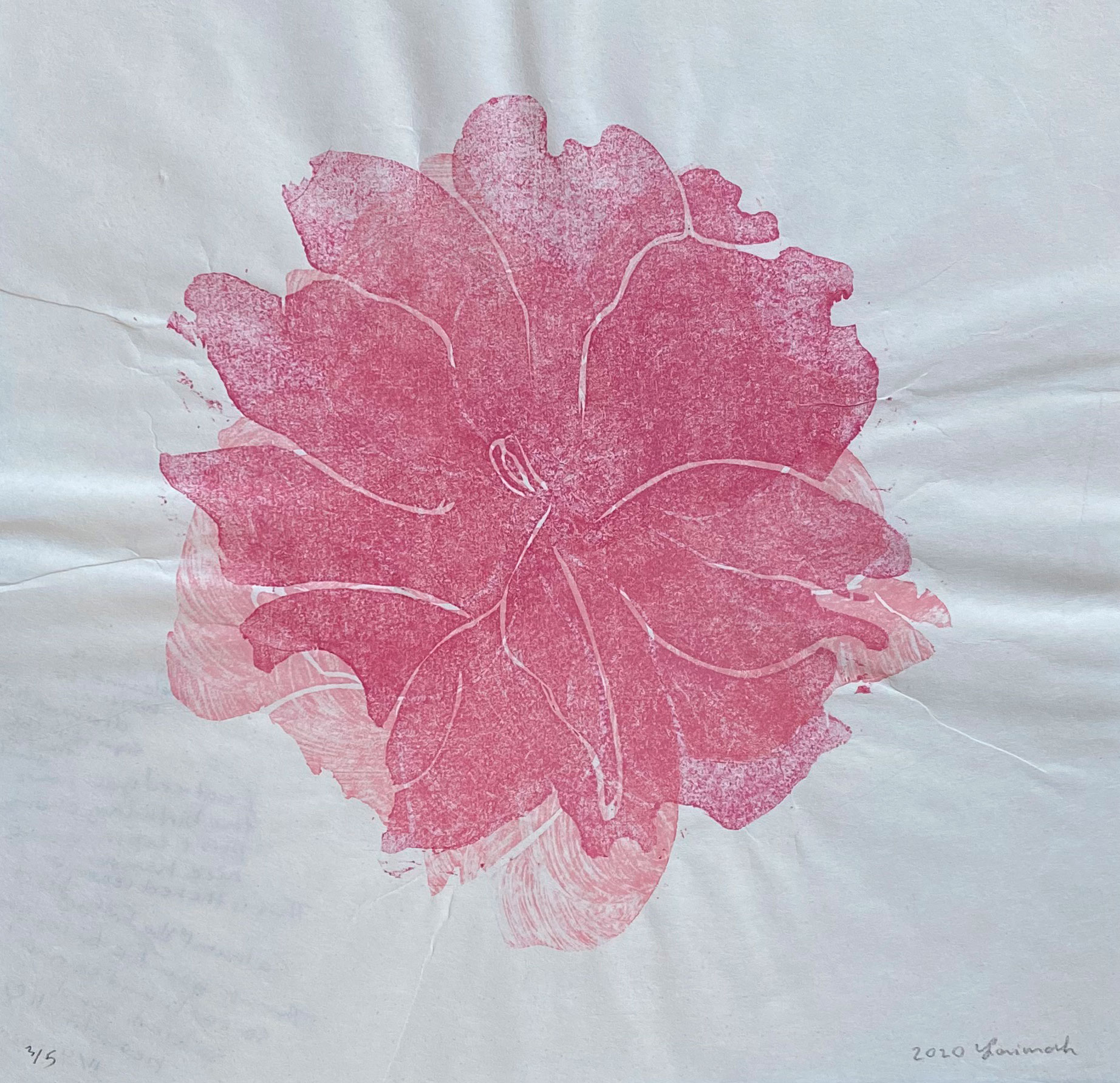 a depiction of a cherry blossom flower, dark pink flower layered over a light pink flower, Woodblock print on Okawara paper, 12 x 12 inches, August 2020, Edition: 5