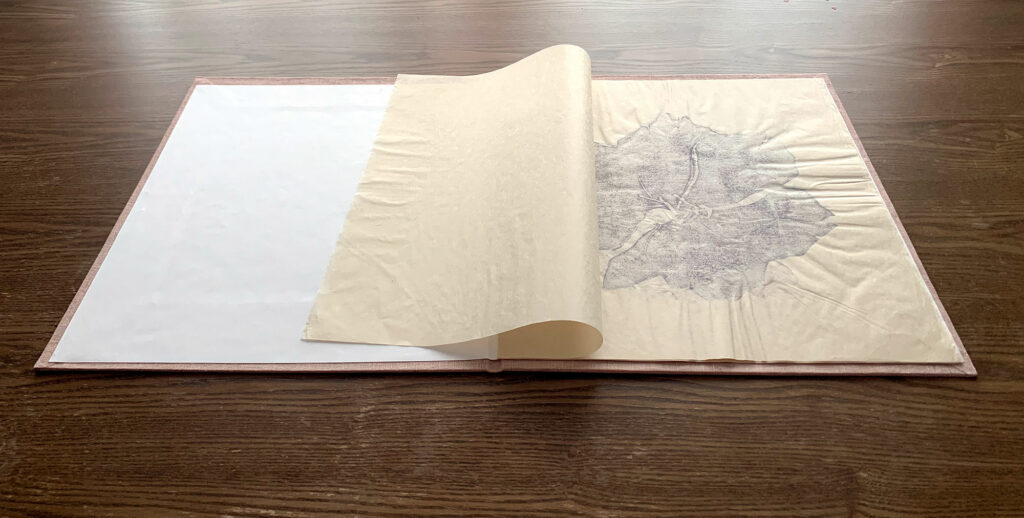 a book opening to the first page, BIG cherry blossom artist’s book, 13 x 14 ½ inches, single section case binding structure, linen bookcloth on cover is dyed with avocado seeds, pages are woodblock printed with watercolors on natural Kitakata paper, July 2022