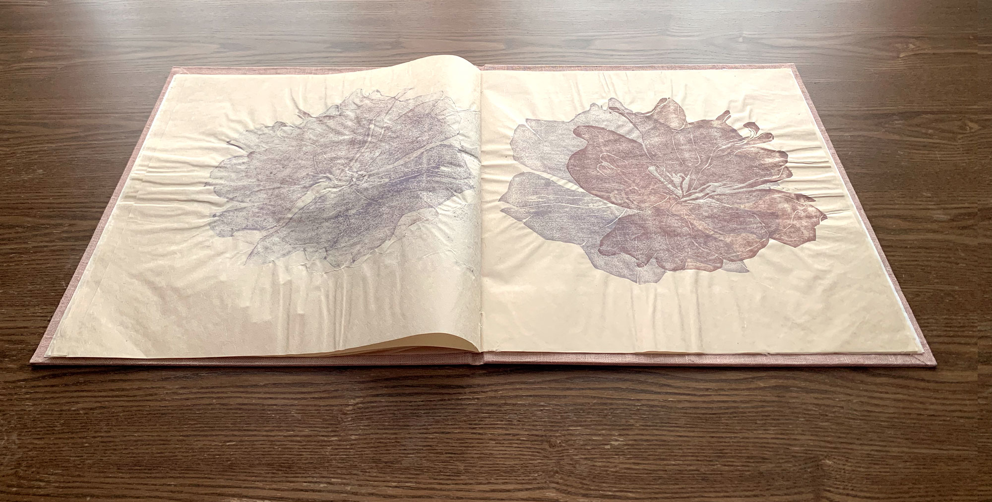 an open book showing cherry blossom woodblock prints, BIG cherry blossom artist’s book, 13 x 14 ½ inches, single section case binding structure, linen bookcloth on cover is dyed with avocado seeds, pages are woodblock printed with watercolors on natural Kitakata paper, July 2022