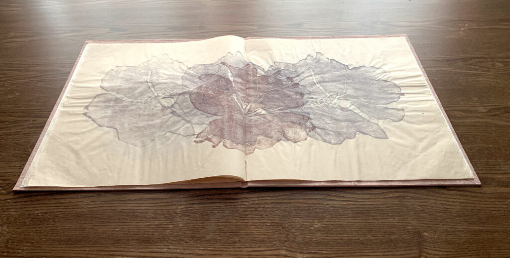 a book open to the the middle spread, BIG cherry blossom artist’s book, 13 x 14 ½ inches, single section case binding structure, linen bookcloth on cover is dyed with avocado seeds, pages are woodblock printed with watercolors on natural Kitakata paper, July 2022